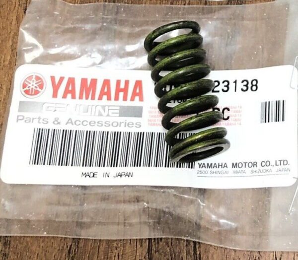 Green valve spring in plastic packaging