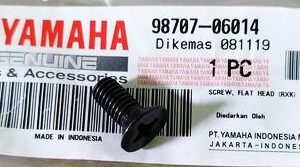 Shift Drum stopper lever screw, Part#  98707-06014