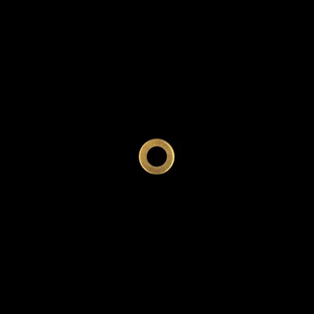 A gold Brass head washer ring on a black background. Part# BW